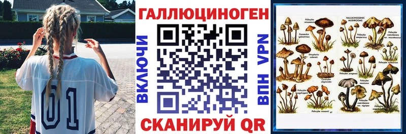 Купить где  Кудымкар  Псилоцибиновые грибы MAGIC MUSHROOMS 